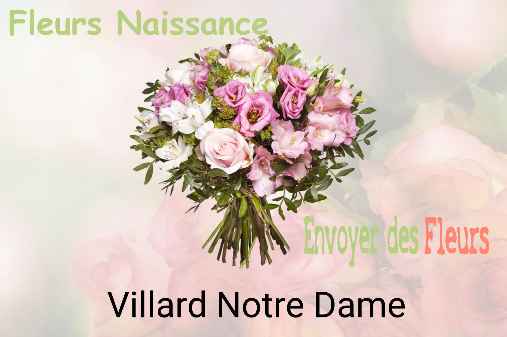 Bouquet de fleurs de naissance livré à Villard-Notre-Dame