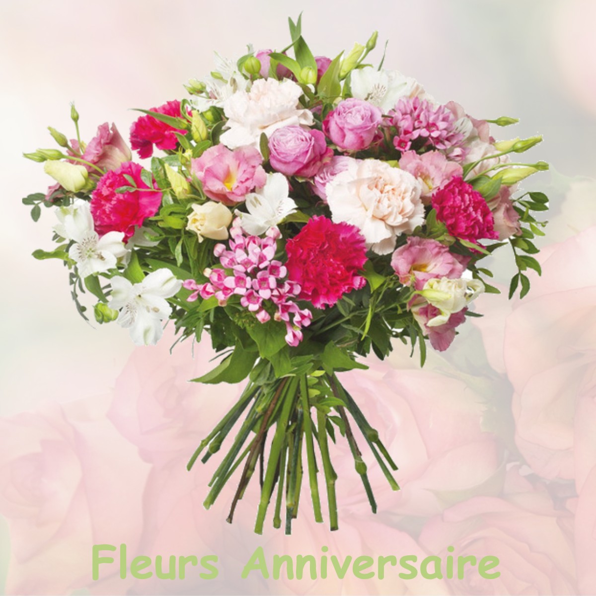 fleurs anniversaire VILLARD-NOTRE-DAME