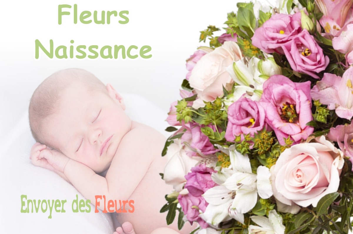 lIVRAISON FLEURS NAISSANCE à VILLARD-NOTRE-DAME